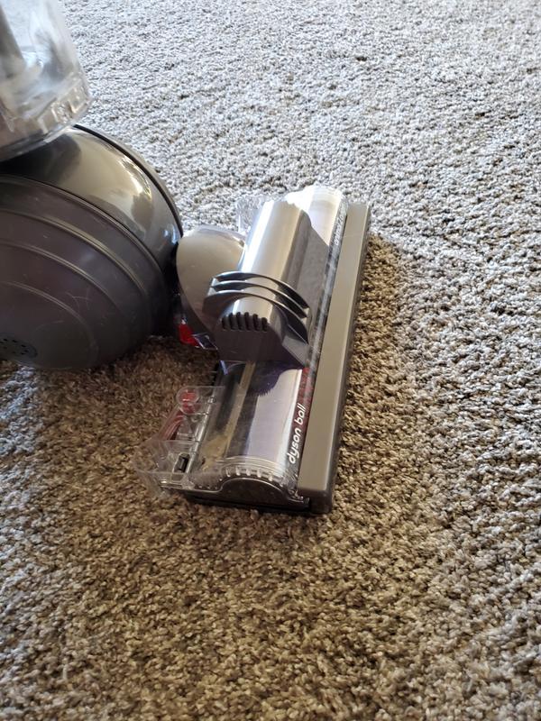 picture of carpet it WON'T work on.