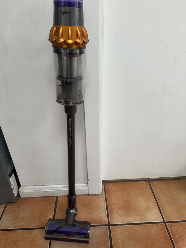 Dyson 15s
