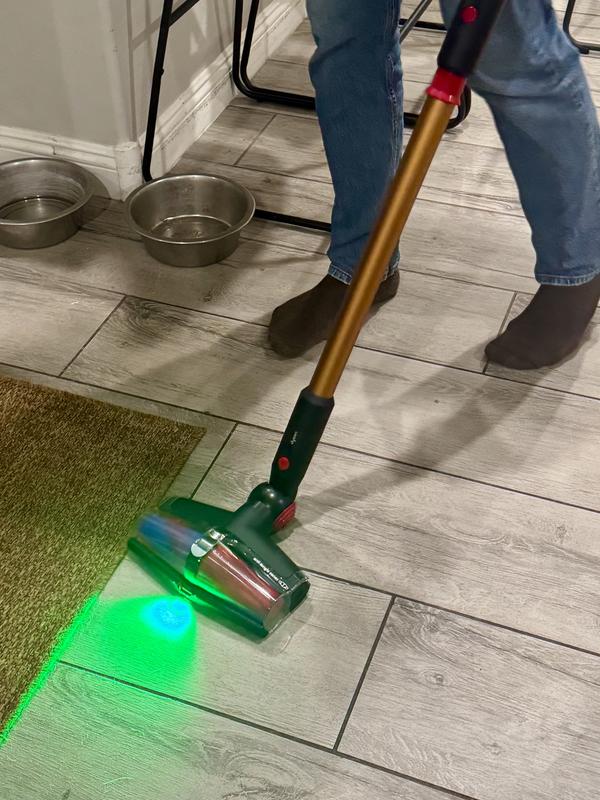 Dyson, V16 Piston Animal Cordless Vacuum | Zola