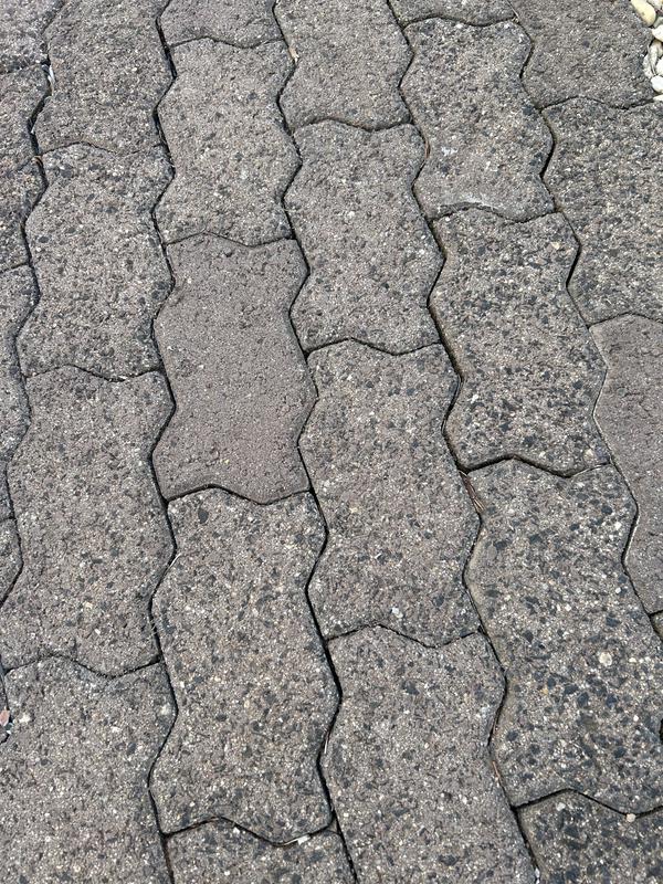 I actually vacuumed my garden parth outside