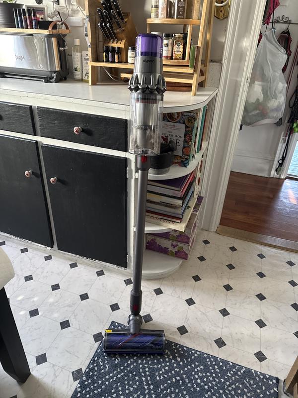 V11 Cordless Vacuum - Blue