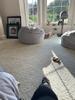 User submitted photo