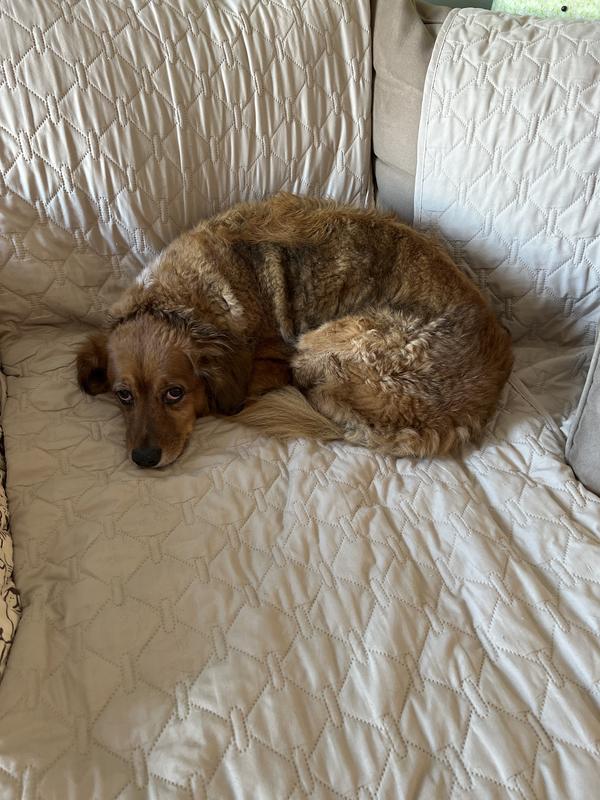 Customer carousel item 1.