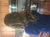 User submitted photo