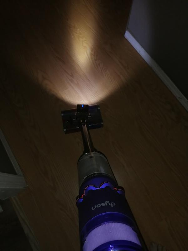 Headlight added for ease and spotting dirt and hairballs