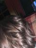 User submitted photo