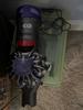 User submitted photo