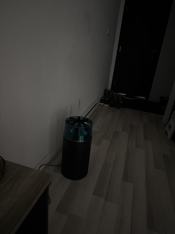 Photo - commentaire 3.