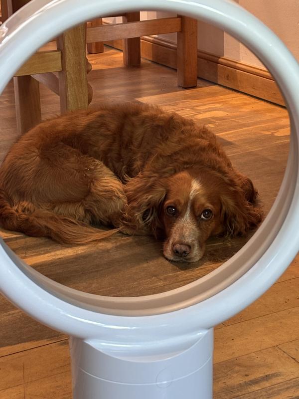 The best place in a heatwave.