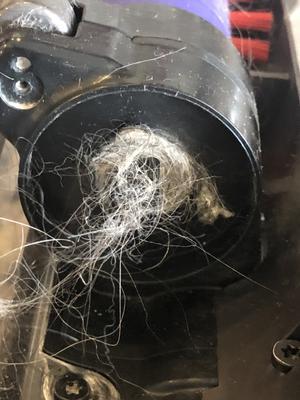 The dog haIr after vacuuming the whole house one time