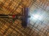 User submitted photo