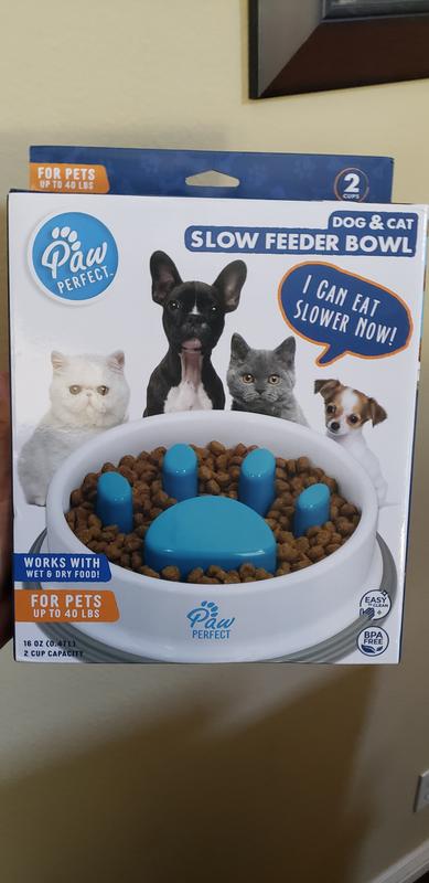 Paw Perfect Pet Slow Feeder Bowl Dog Cat Slow Feeder Large 32oz