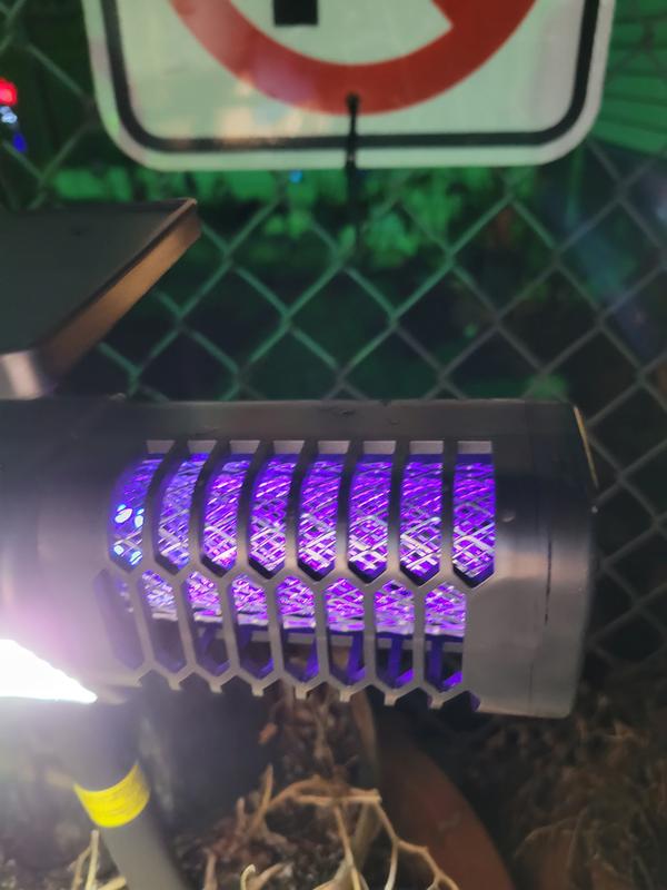 Bug zapper