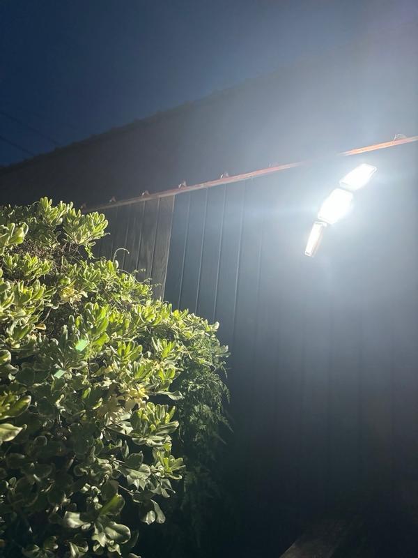 Photo - commentaire&nbsp;8.