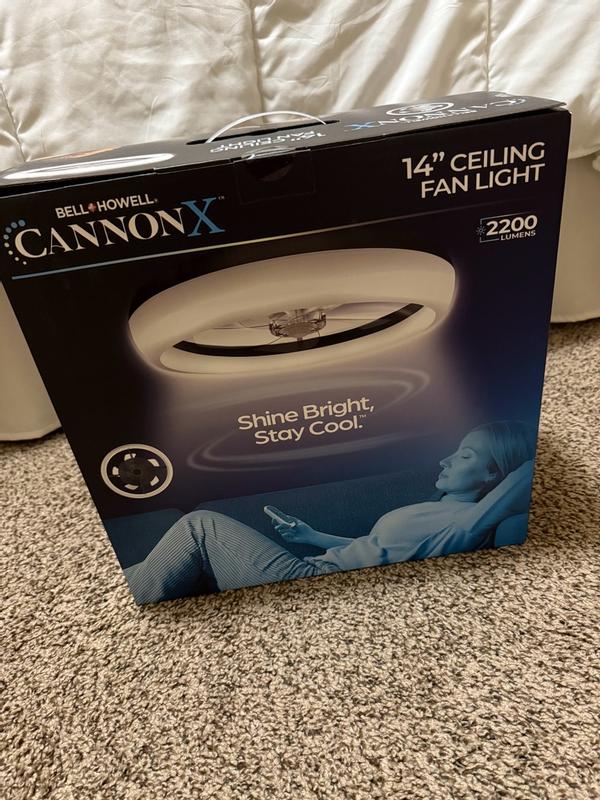 Photo - commentaire 6.