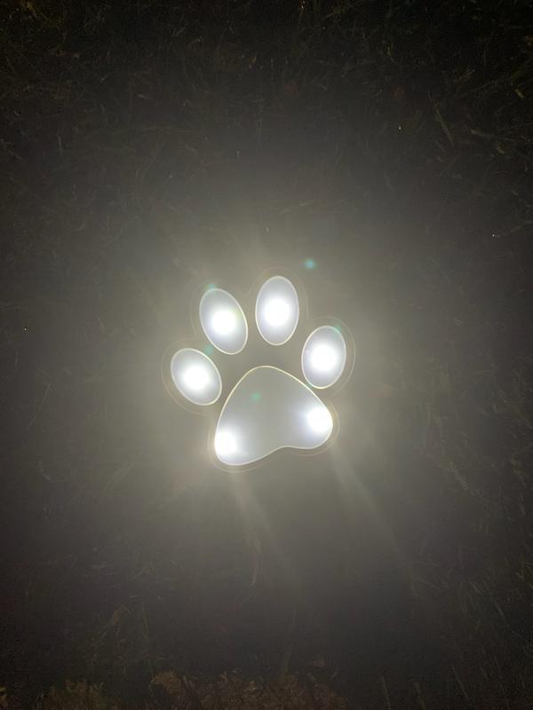 BELL + HOWELL 8-Pack Disk Lights 6-Lumen 3-Watt Paw Shape Low