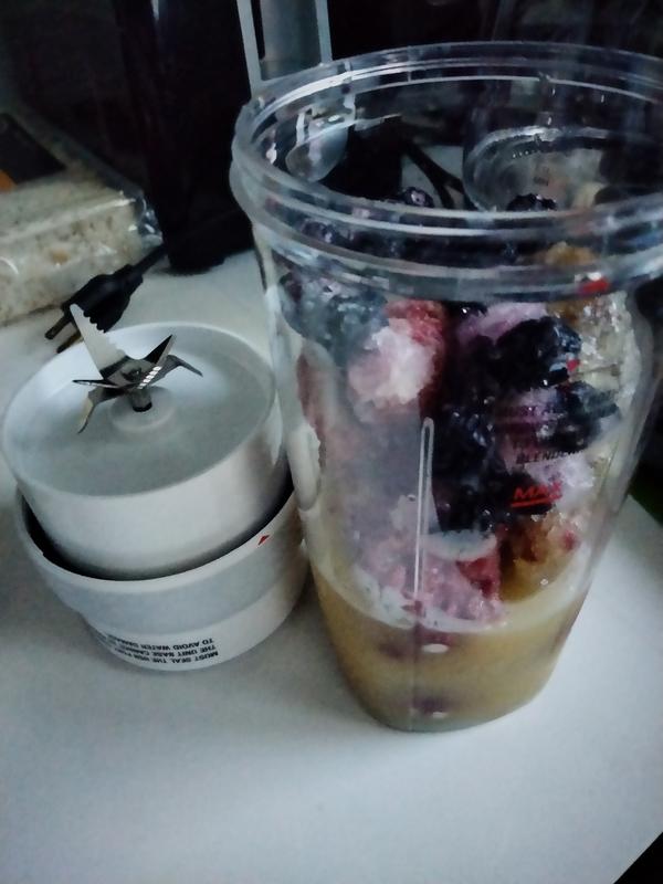 Bionic Blade Personal Blender with Travel Cup & Reviews