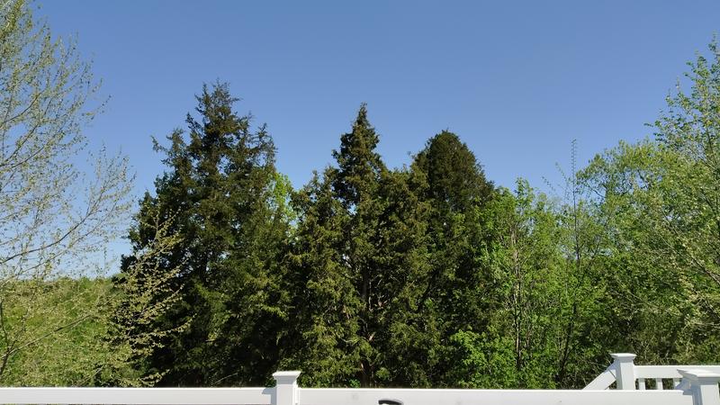 Sunny day. Picture without glasses.