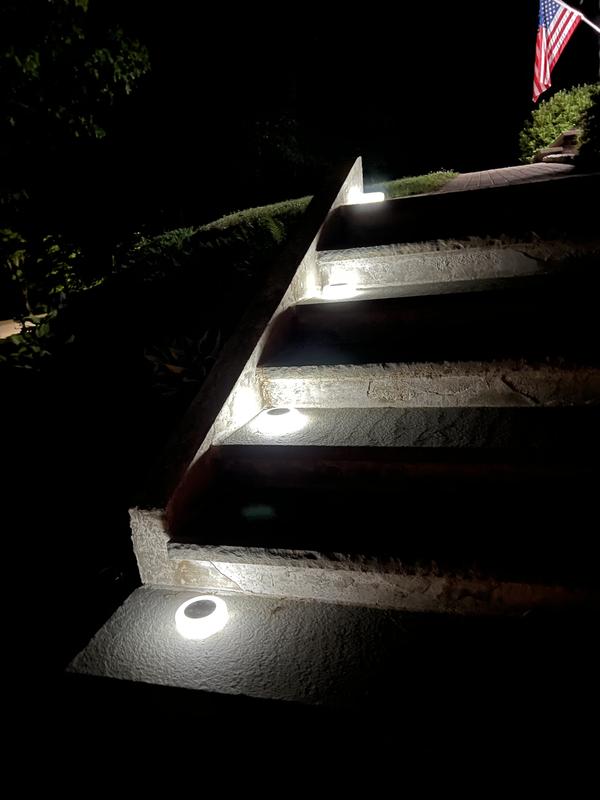 The white lights