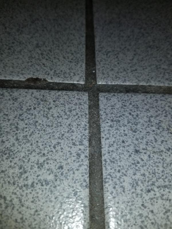 Before cleaning with just the scrubber and vinegar