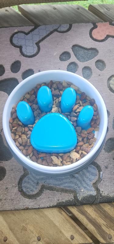 This bowl helped save my dog from over eating.