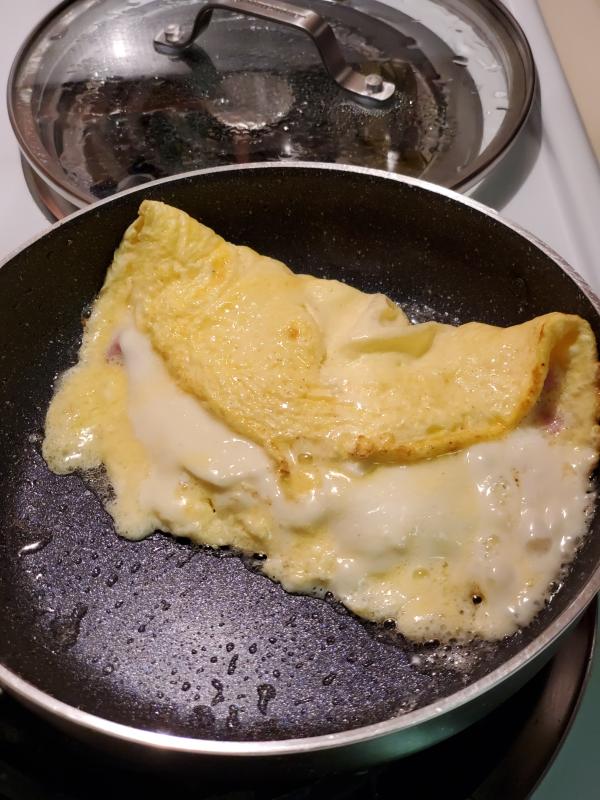 Folded Omelet