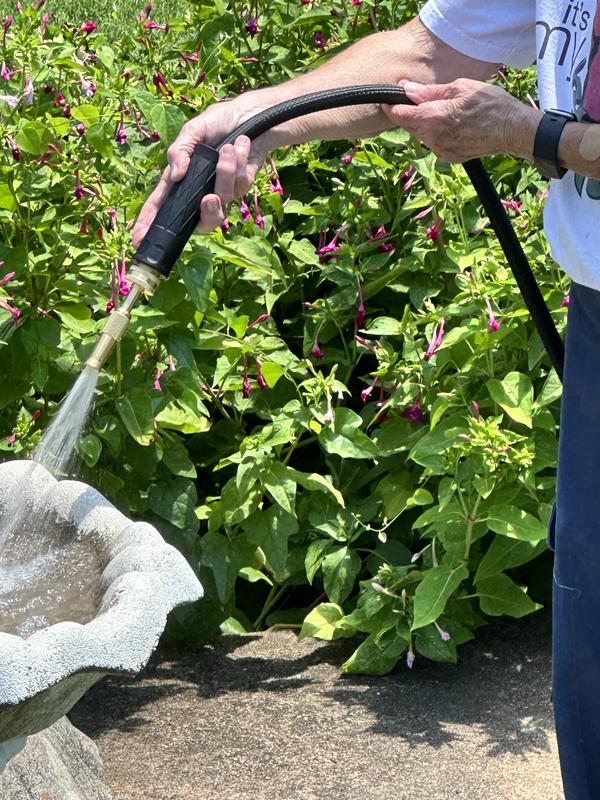 Photo - commentaire 6.