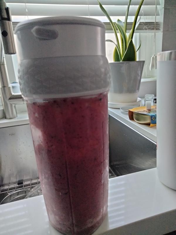Mini Blender I
