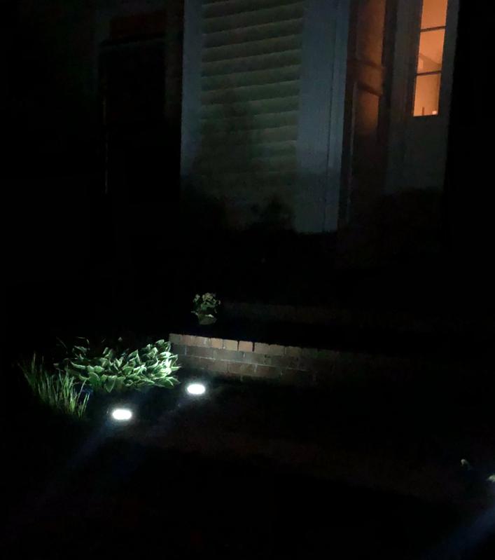 Photo - commentaire 8.