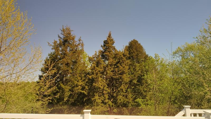 Picture with polarized glasses on