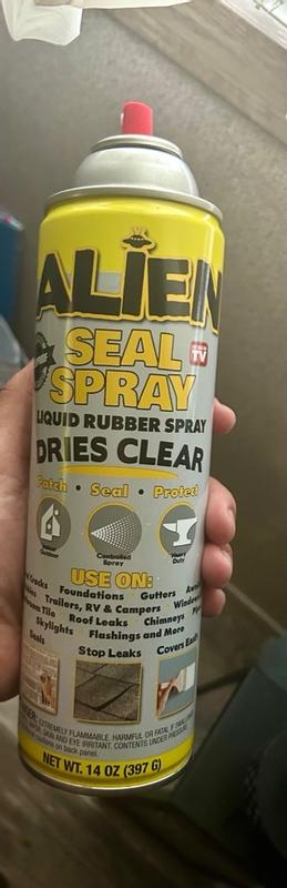 Photo - commentaire 8.