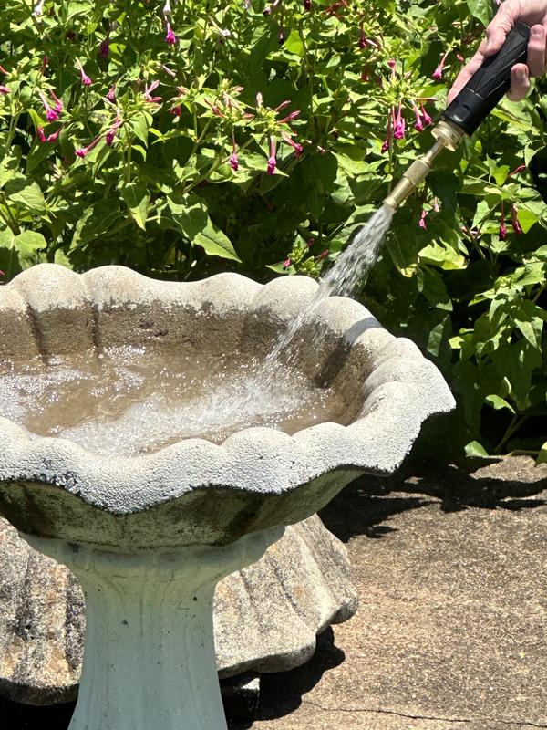 Photo - commentaire 5.