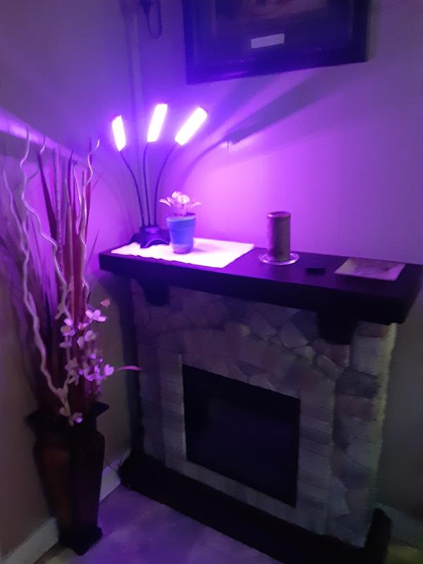 Photo - commentaire 2.