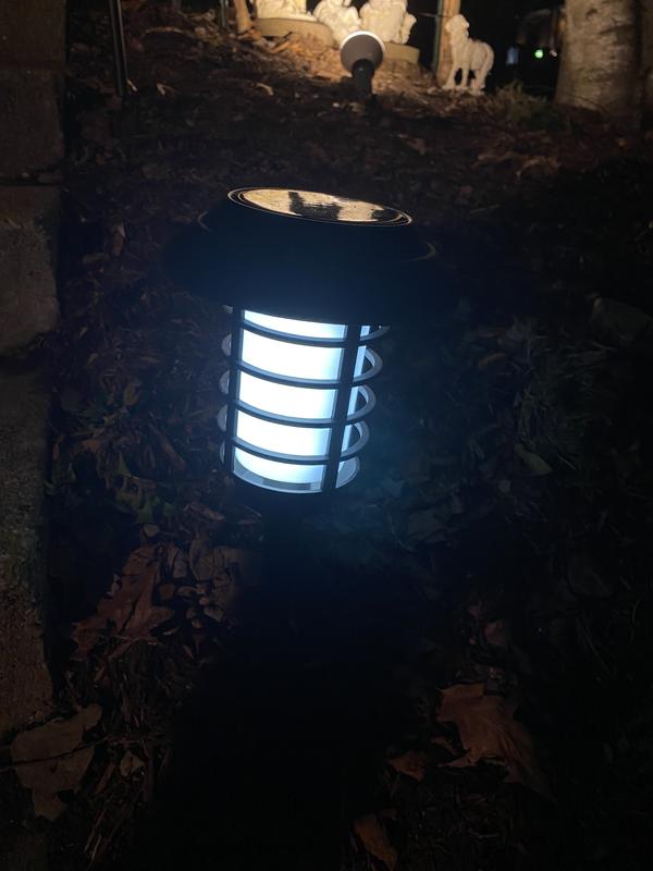 White light to light the path
