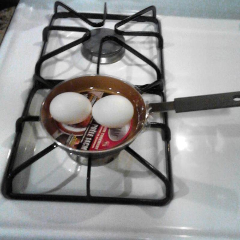 Gotham Steel Mini Egg Pan with Cooking Eggs