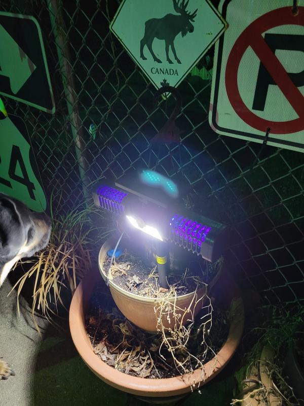 Bug zapper on both sides