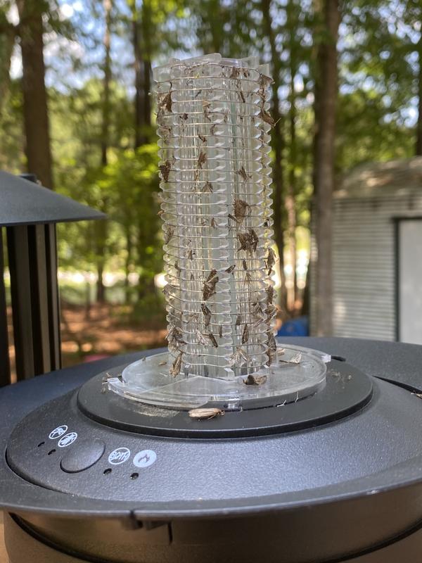 Bug zapper with top off