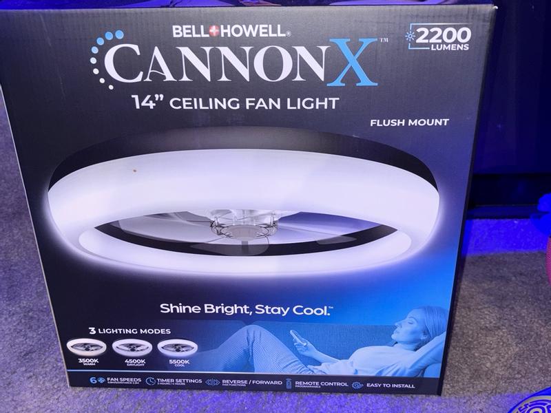 Photo - commentaire 2.