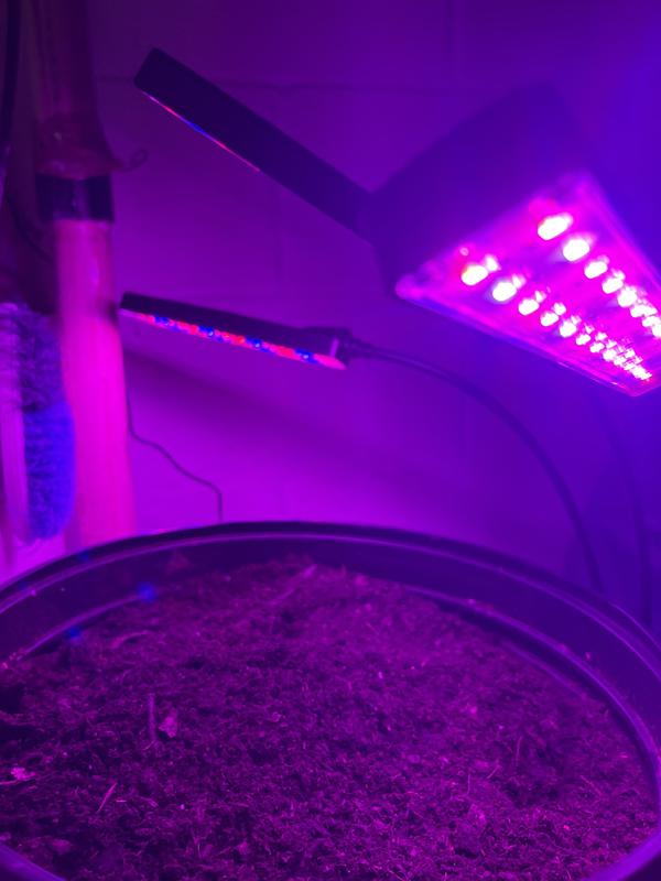 Photo - commentaire 3.