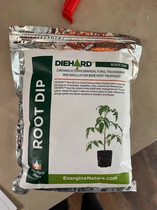 Envelor DIEHARD Root Dip Root Stimulator HA-DHRD1-1 at Lowes.com
