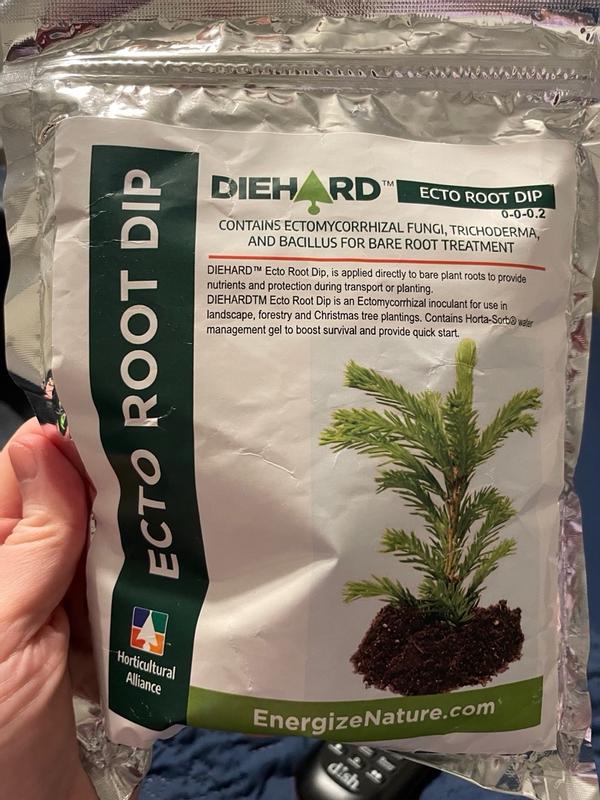 Envelor DIEHARD Ecto Root Dip Root Stimulator HA-DHERD1-1 at Lowes.com