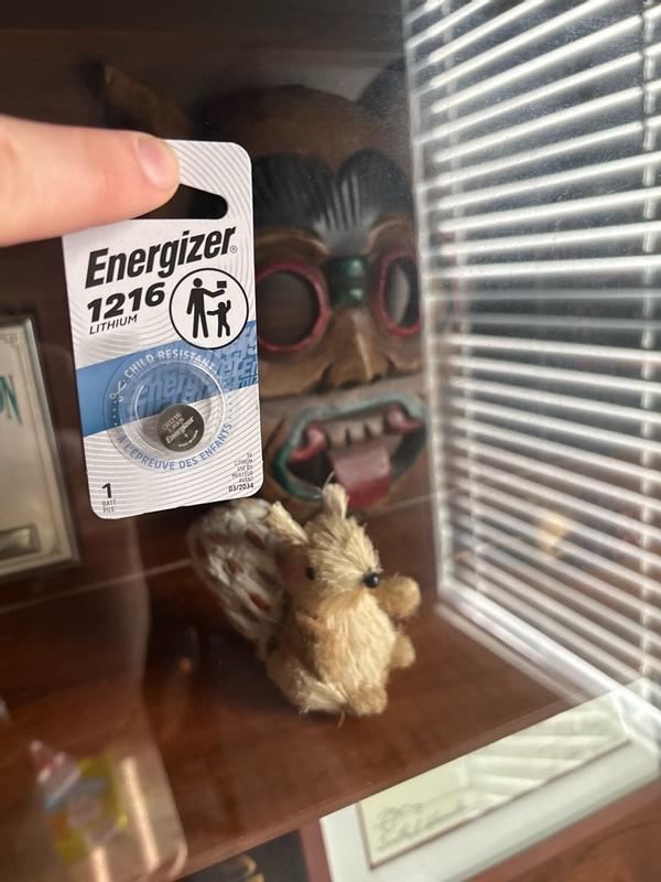 Photo - commentaire 3.