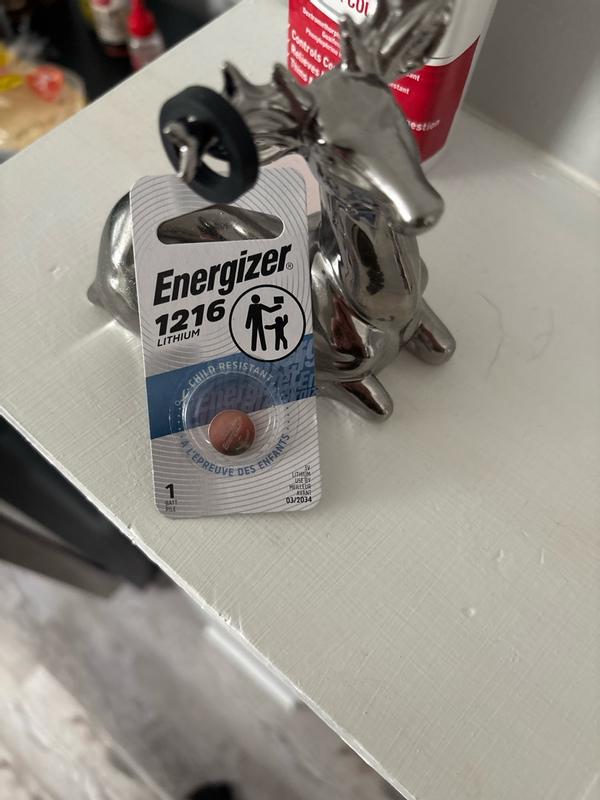 Photo - commentaire 5.