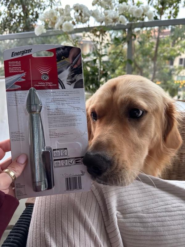 Photo - commentaire&nbsp;7.