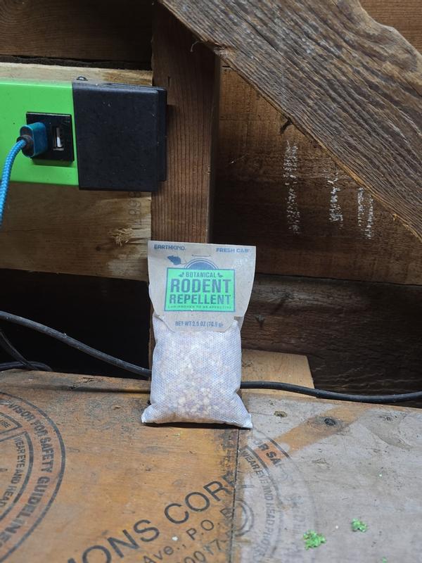 Review photo 3.