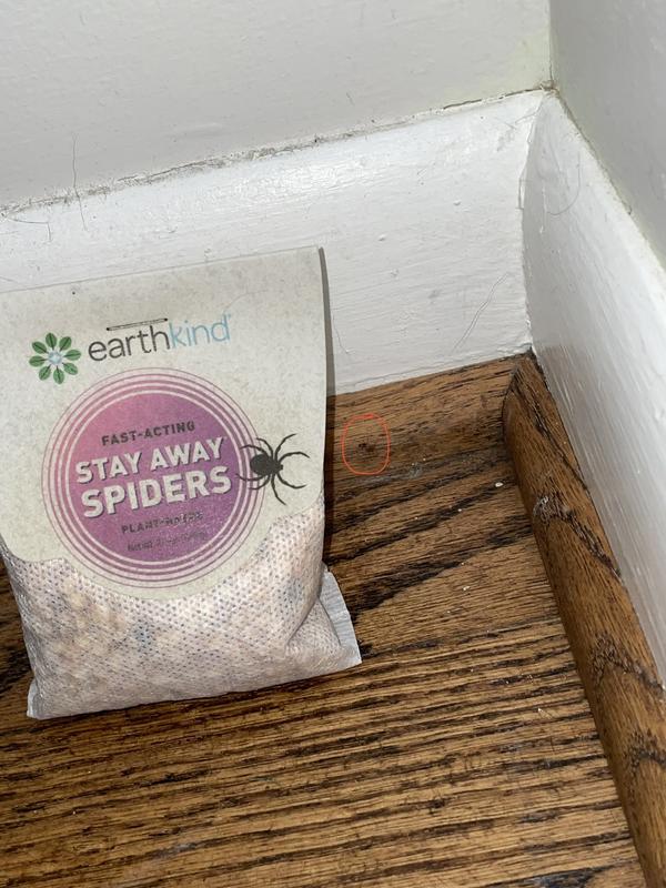 Stay Away Moth Unscented Home & Perimeter Indoor Pouch in the