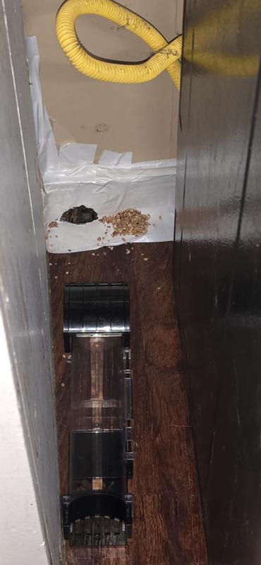 I had taped the hole up and placed a pouch in each side of the hole the next morning both pouches were tore apart