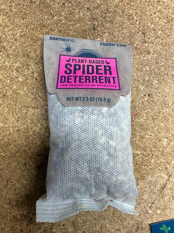 daisy flower seeds Sow Right Seeds - Painted Daisy Seeds for Planting - Non-GMO Heirloom Seeds Packet with Instructions