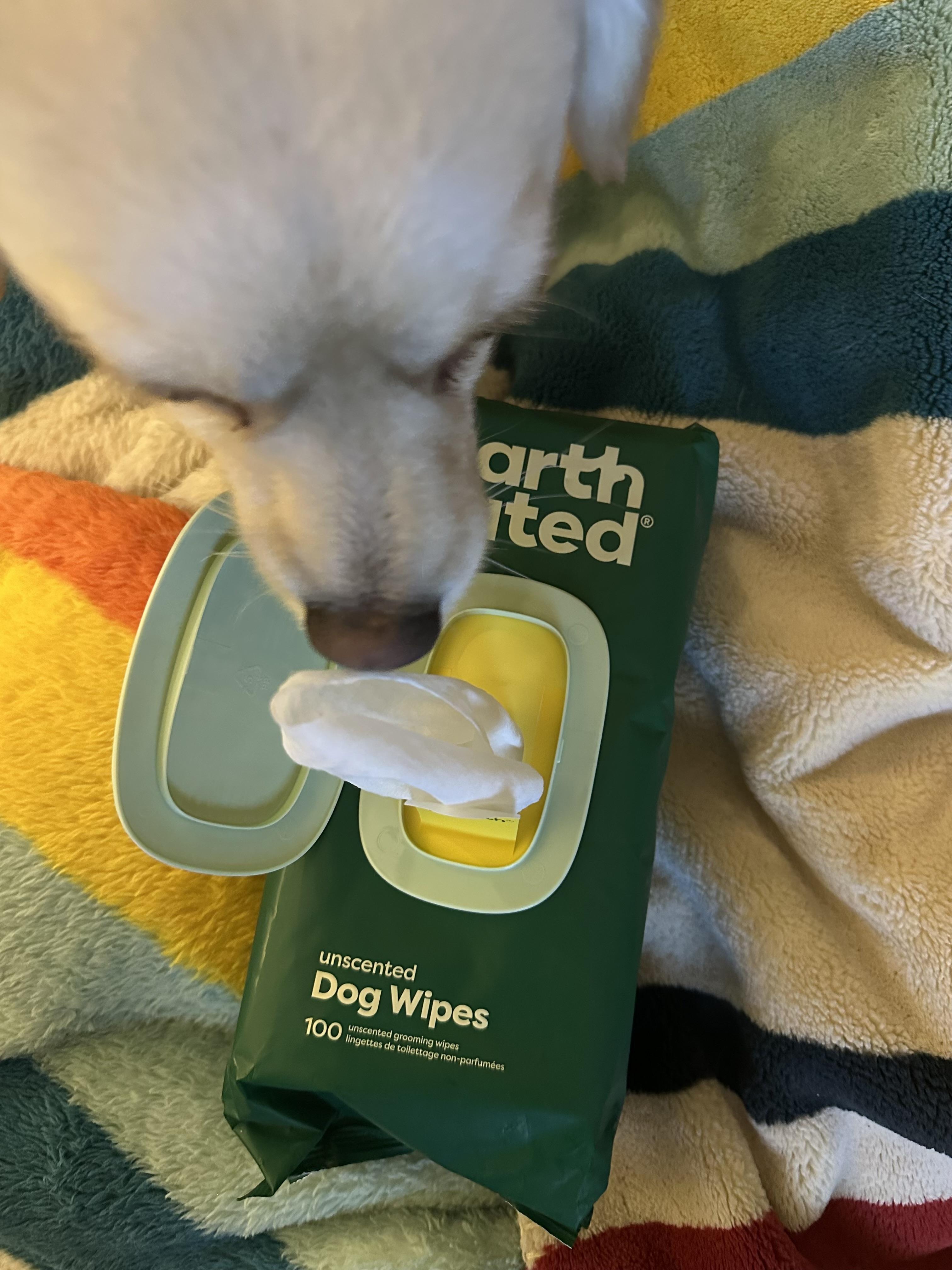 Dog Paw Cleaner Wahl Lavender Dog Wipes 50ct (pH Balanced