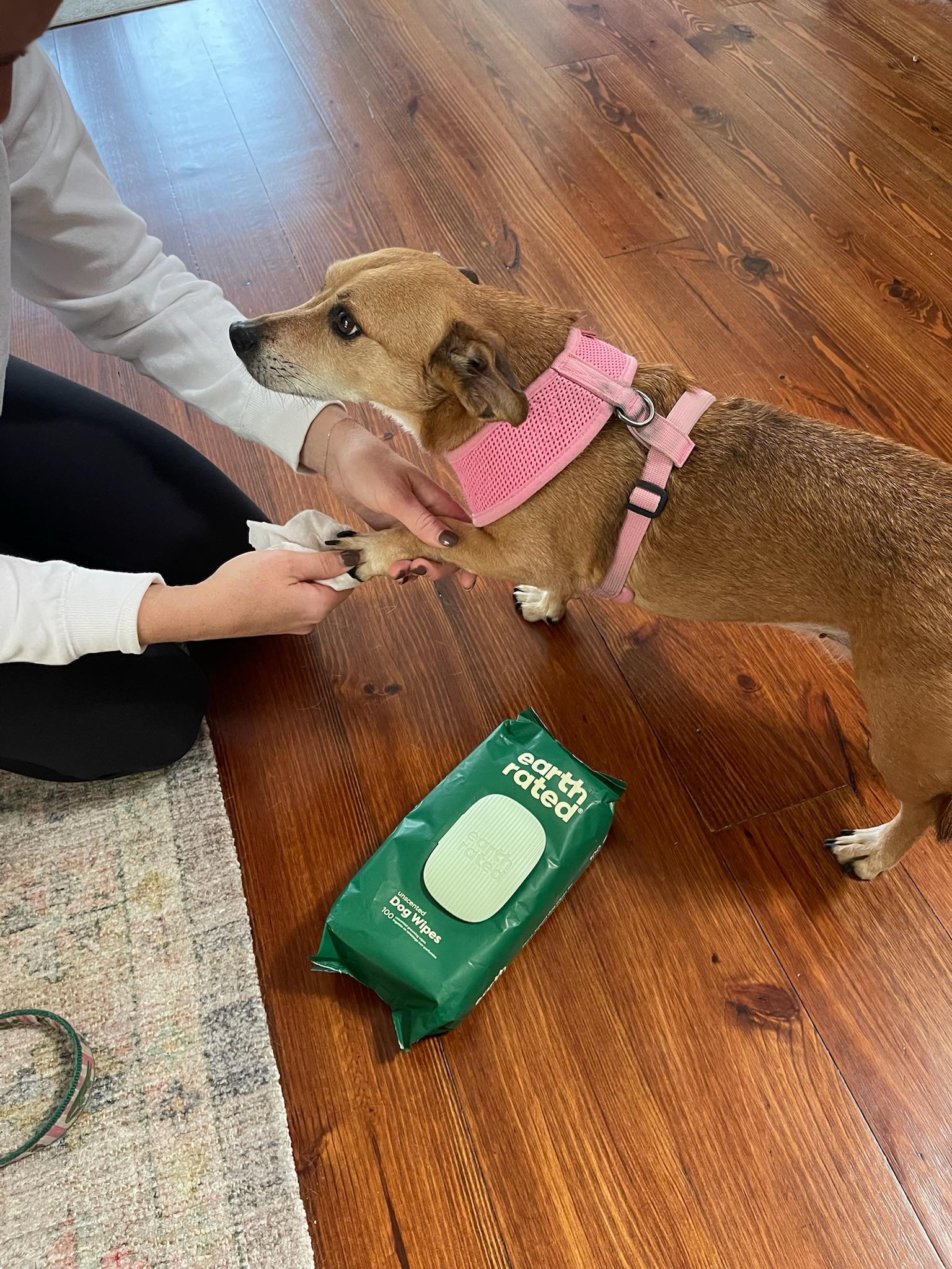 Can You Use Stink! Plant-Based Pet Wipes (400ct) Biodegradable